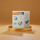 Brochure Real Size (Woodfree paper 100gsm)