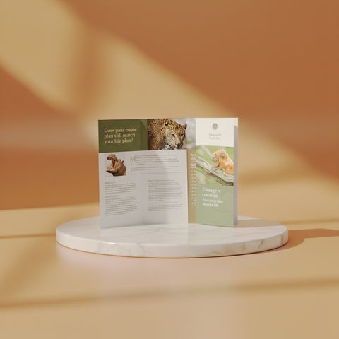 Brochure Real Size (Glossy paper 115gsm)